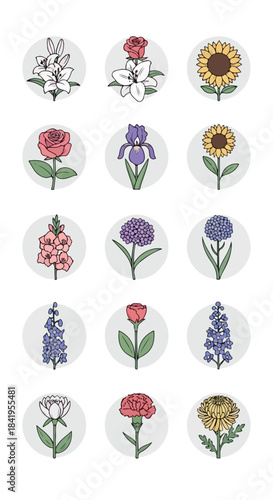 Collection of colorful flowers in circles with transparent background