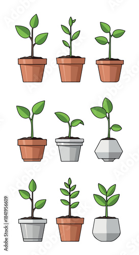 Plants in pots with transparent background