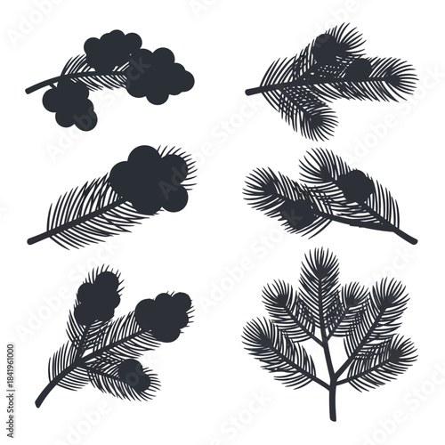 Set of six black and white botanical silhouettes featuring various tree and plant foliage