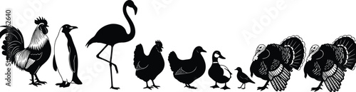 Set of various poultry and other exotic birds silhouettes in a row, including rooster, penguin, flamingo, chicken, duck, and turkey, detailed black vector illustration for farm or wildlife themes.