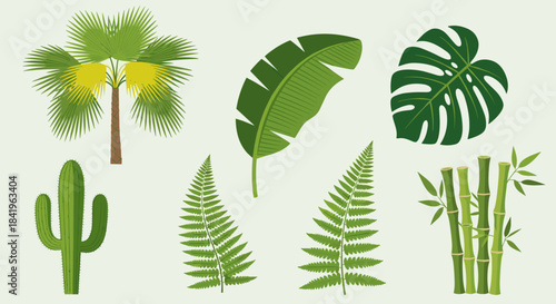 Collection of tropical and desert plants palm tree, banana leaf, monstera, cactus, ferns, and bamboo