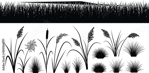 Traditional Scottish band vector illustration set, men in kilts playing bagpipes, violin, trumpet, and drum, vintage black and white Scottish music group design.