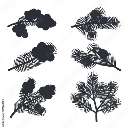 Set of six black silhouette illustrations of different pine and fir branches on a white background