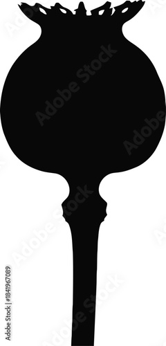 Black silhouette of a poppy seed head isolated on transparent background