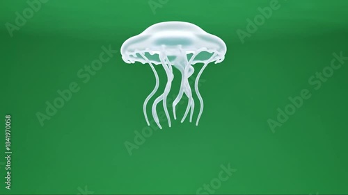 Animated Jellyfish in a Green Background Creating a mesmerizing underwater scene