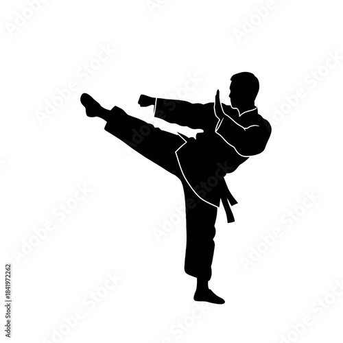 Minimalist Vector Man Kung Fu Silhouette