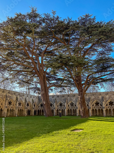 Beautiful Salisbury Cathedral