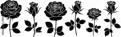 Black rose silhouette vector, floral clipart, botanical illustration, tattoo design, romantic flower art, decorative element, nature graphic, elegant bloom