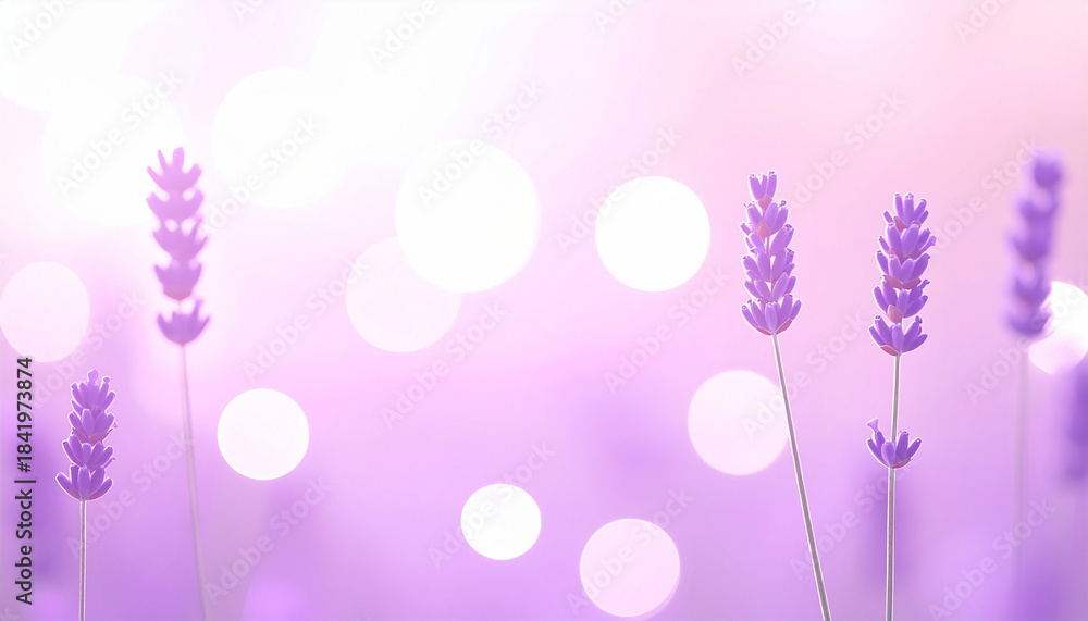 Naklejka premium Soft Dreamy Lavender Blossoms with Pastel Bokeh Glow in a Gentle Romantic Atmosphere, Highlighting Minimalist Floral Silhouettes Surrounded by Warm Light Orbs and Ethereal Purple-Hued Radiance