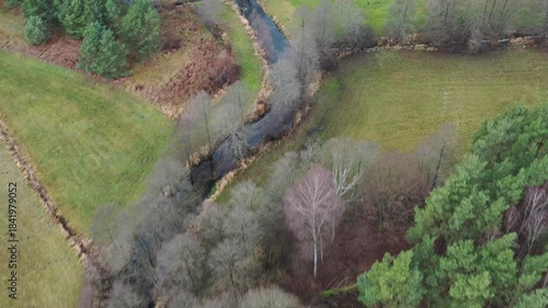 aerial view, drone photography, drone landscape, top view, forest, pine forest, birch trees, mixed forest, woodland, clearing, meadow, wetland, swamp, bog, marsh, pond, lake, reeds, river, stream, win