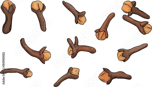 set of chocolate candies isolated