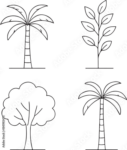 Simple black and white line art of four different types of trees for coloring isolated on white background, Vector, illustration