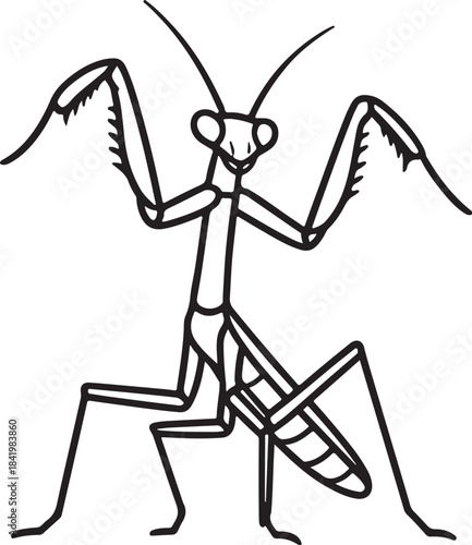 Praying Mantis Upward Threat Pose Vector Line-Art.eps