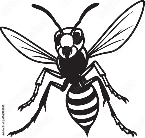 Wasp Dominant Low-Angle Pose.eps