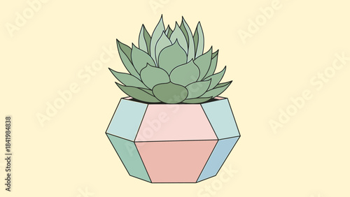 Illustration of a Succulent Plant in a Geometric Pot.