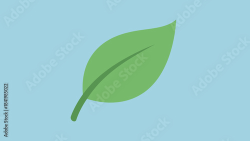 Illustration of a Single Green Leaf with Prominent Vein on Blue Background.