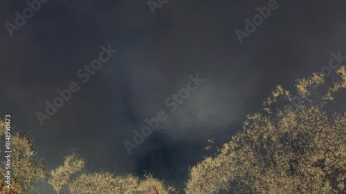 aerial view, drone photography, drone landscape, top view, forest, pine forest, birch trees, mixed forest, woodland, clearing, meadow, wetland, swamp, bog, marsh, pond, lake, reeds, river, stream, win