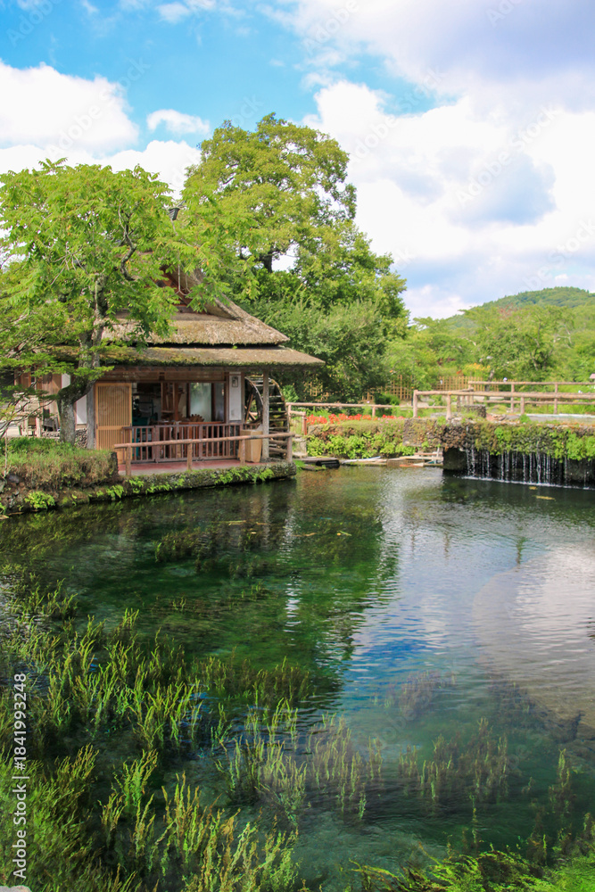 Obraz premium 忍野八海