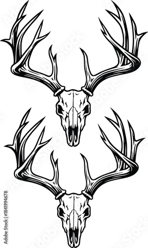 Hand drawn deer skull vector illustration