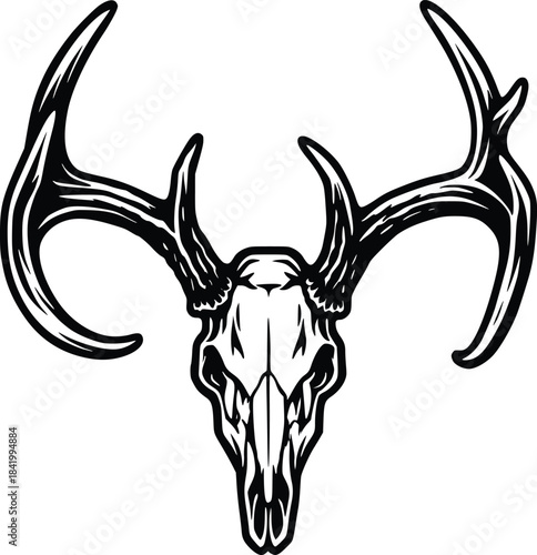deer skull vector hand drawn illustration