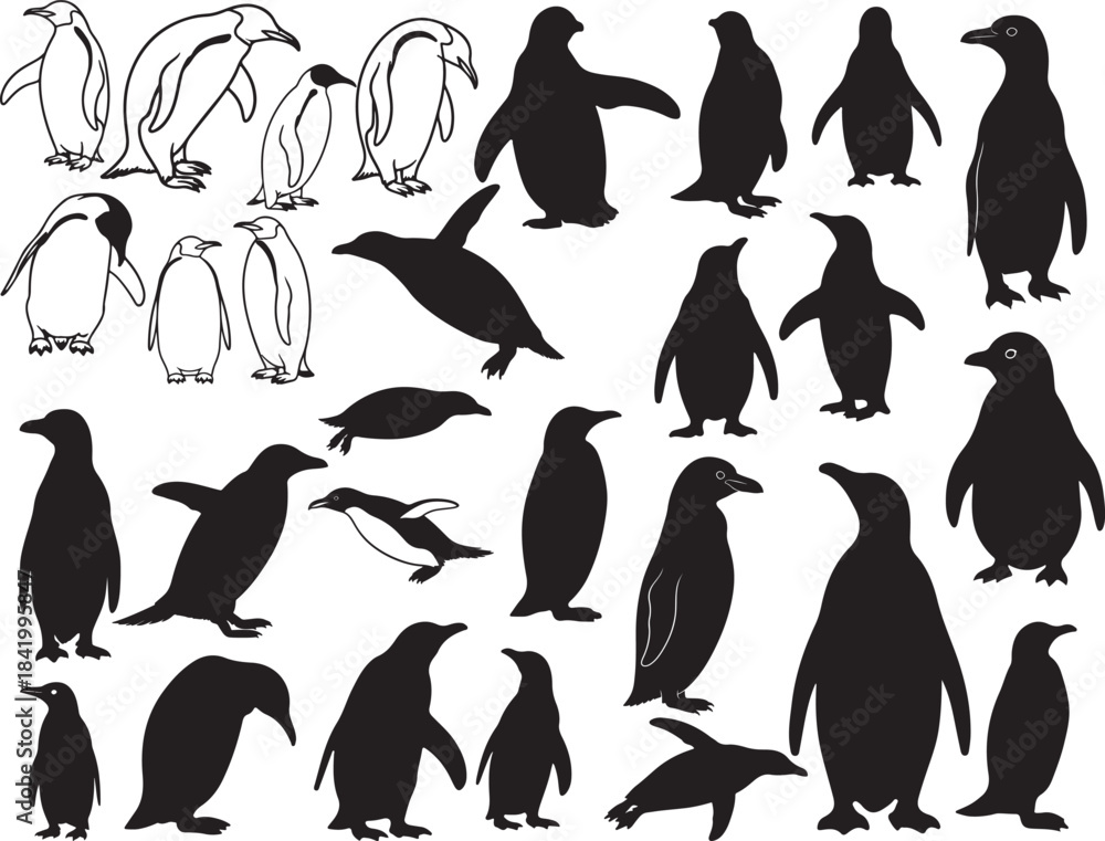 Fototapeta premium Penguin Silhouettes