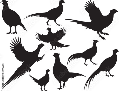Pheasant Bird Silhouettes