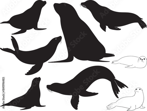 Seal Silhouettes