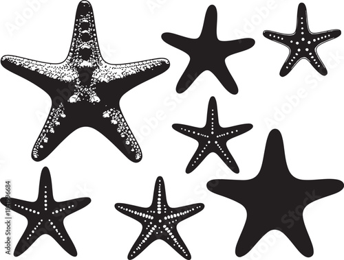 Starfish Silhouettes