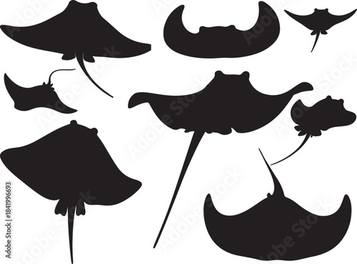 Stingray Silhouettes