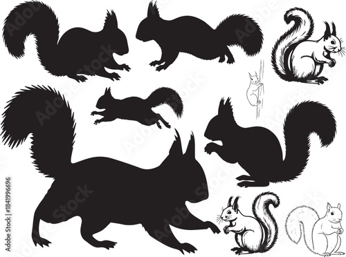 Squirrel Silhouettes