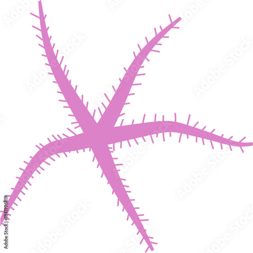 Brittle Star