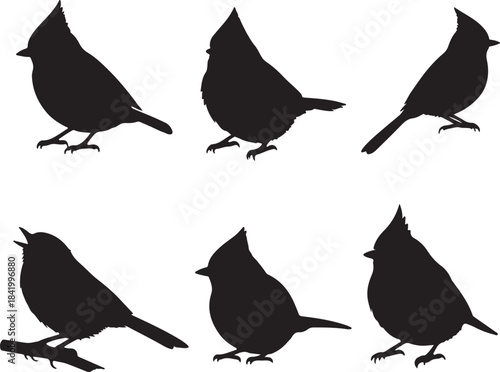Titmouse Silhouettes