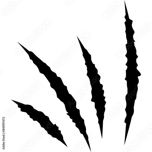 Claw Scratching illustration