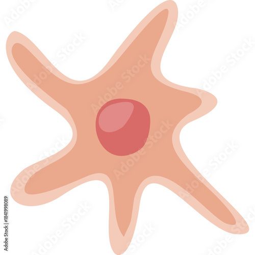 Fibroblast illustration