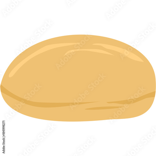 Kombucha fermented tea scoby