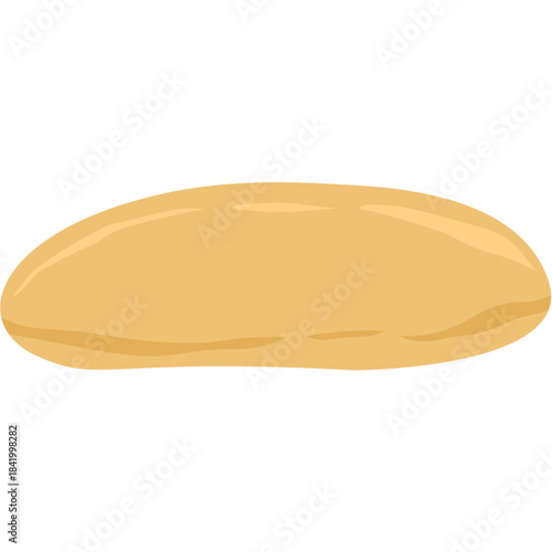 Kombucha fermented tea scoby