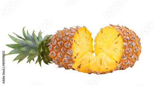 Vector of Fresh Pineapple Slices and Whole Pineapple on Transparent Background