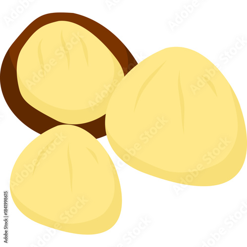 Macadamia