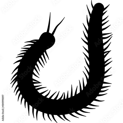 Millipede