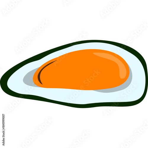 Mussel Illustration