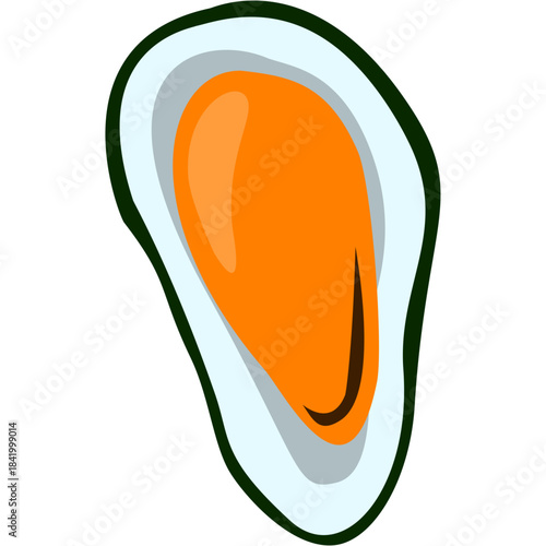 Mussel Illustration