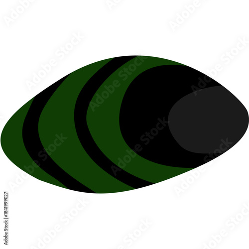 Mussel Illustration