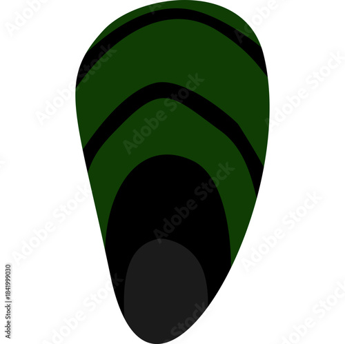 Mussel Illustration