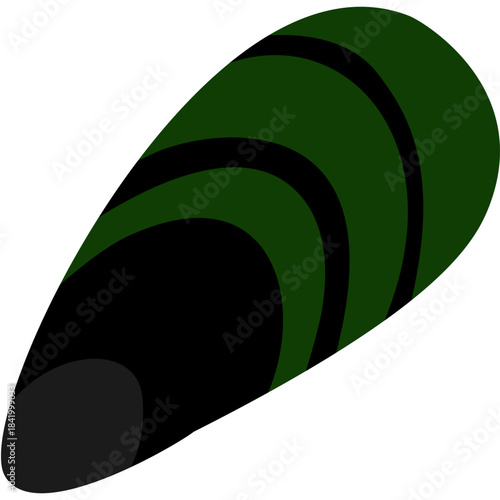 Mussel Illustration