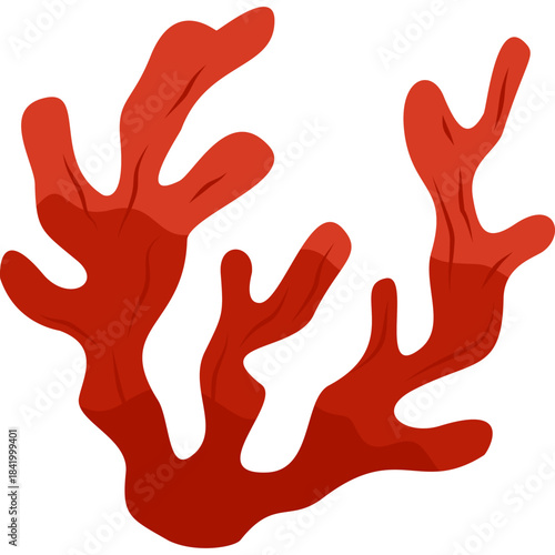 Red Algae Underwater