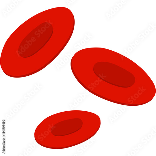 Red Blood cell