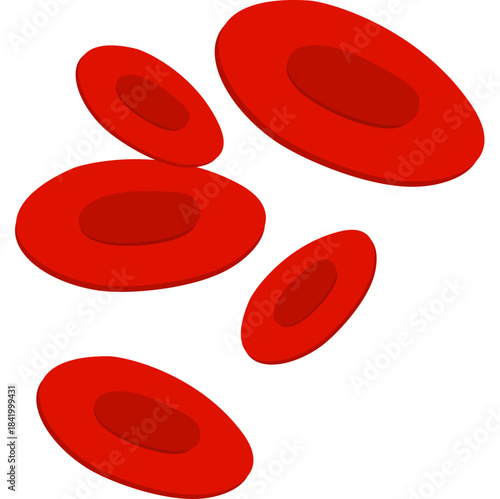 Red Blood cell