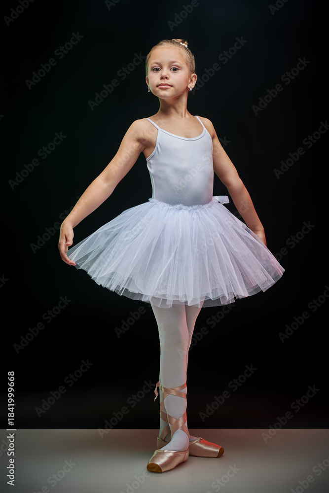Naklejka premium Elegant Ballet Form