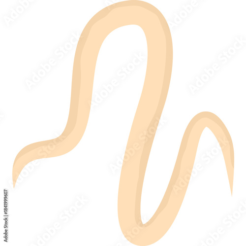 Roundworm Parasite