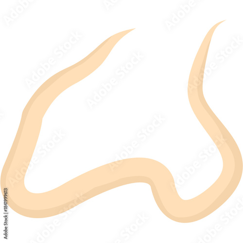 Roundworm Parasite